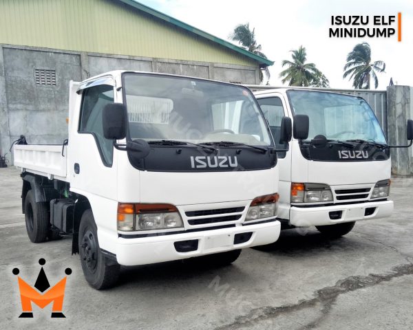 Isuzu Elf Minidump - Image 15