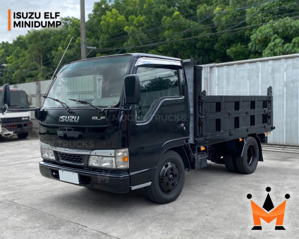 Isuzu Elf Minidump - Image 3
